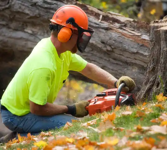 tree services Elkridge